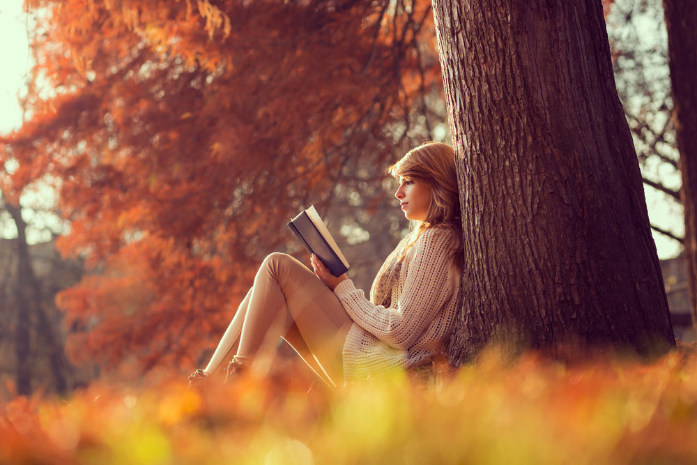 Amazing Autumn Reads!